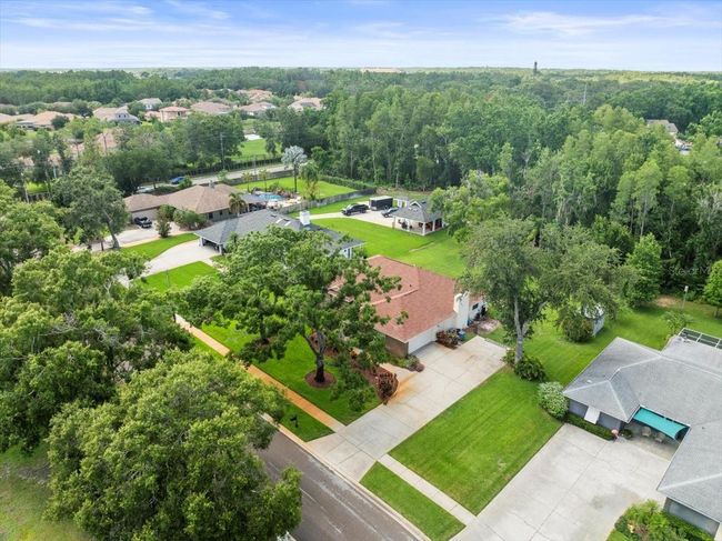 1015 Hastings Ct, House other with 3 bedrooms, 3 bathrooms and null parking in LUTZ FL | Image 35