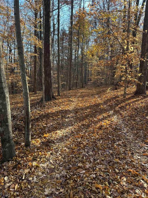 0000 S 1175 Road, Cloverdale, IN, 46120 | Card Image