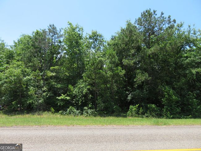 0 Cool Branch Rd, Home with 0 bedrooms, 0 bathrooms and null parking in Georgetown GA | Image 6