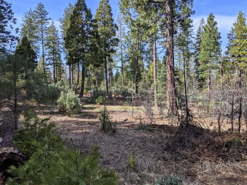 Lot 5 Waterleaf Ln, Shingletown, CA, 96088 | Card Image