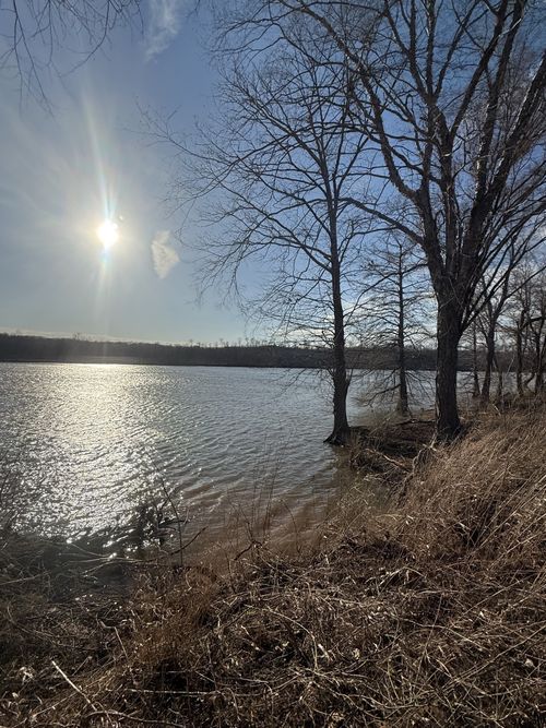 425 Hardin Bottom Rd, Clifton, TN, 38425-4005 | Card Image