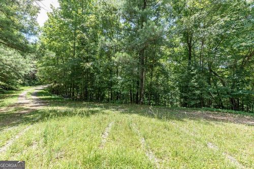 aandbd-LOT 1687 Shade Tree Drive, Talking Rock, GA, 30175 | Card Image