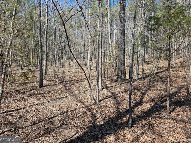 TRACT-4 - 0 Prior Station Rd, Home with 0 bedrooms, 0 bathrooms and null parking in Cedartown GA | Image 7