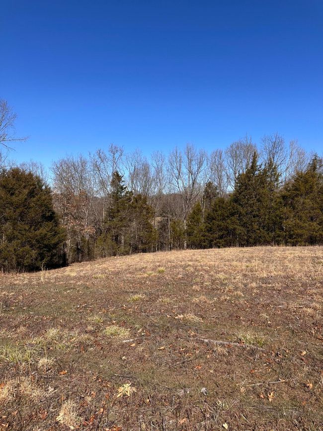 265 - 24265 S Mohawk Rd, Home with 0 bedrooms, 0 bathrooms and null parking in Mohawk TN | Image 39