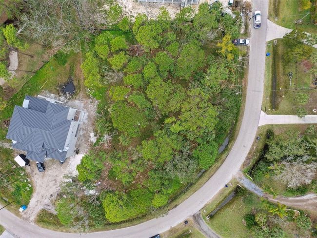 00 Phoenix Ave, Home with 0 bedrooms, 0 bathrooms and null parking in OLDSMAR FL | Image 12