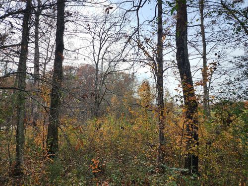 0 Tullahoma Hwy, Winchester, TN, 37398 | Card Image