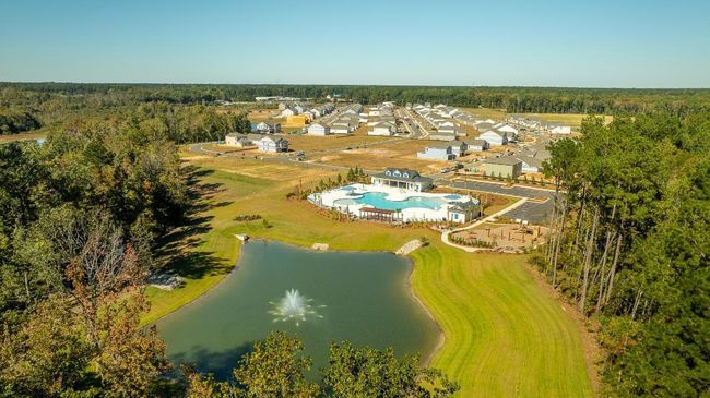 Carolina Groves_10_17_24_7 | Image 31