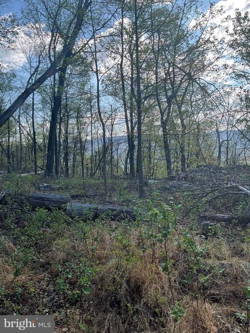 Lot 44A Mountain Top Rd, PAW PAW, WV, 25434 | Card Image