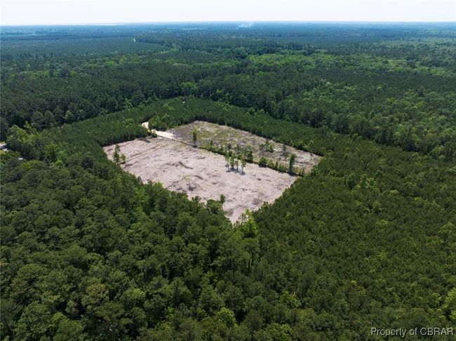 20 ac Ridge Road, Home with 0 bedrooms, 0 bathrooms and null parking in Cobbs Creek VA | Image 18