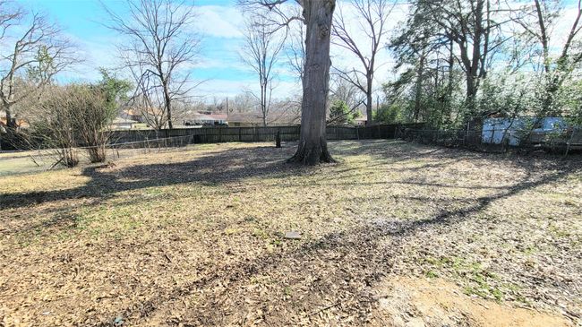 View of backyard facing rear fence | Image 12