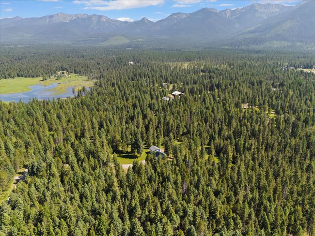 Bird's eye view of a forest and a water and mountain view | Image 50