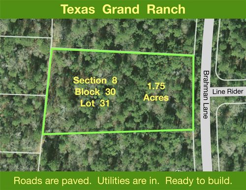 8 Brahman Lane, New Waverly, TX, 77358 | Card Image