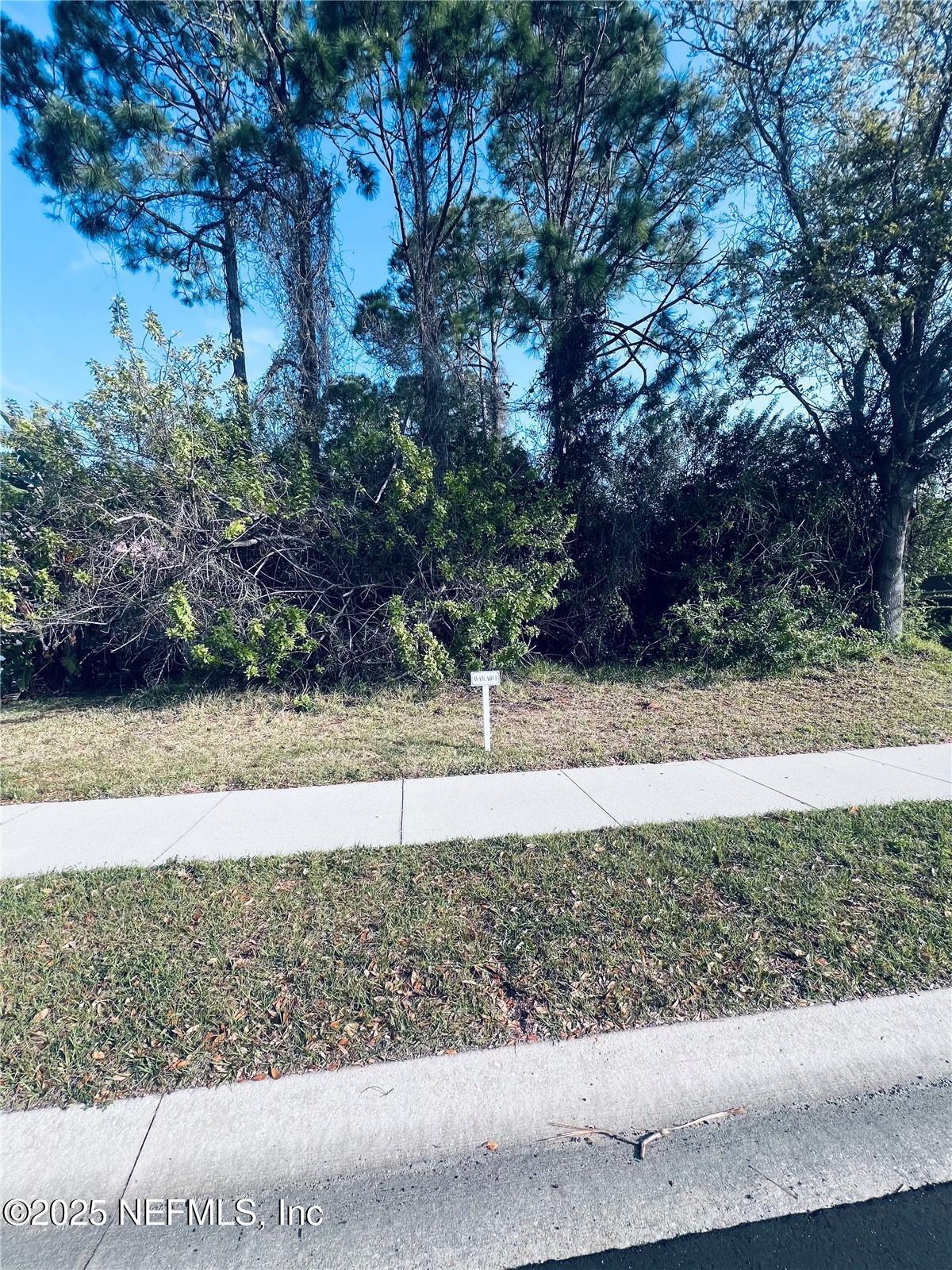 Land in Palm Coast