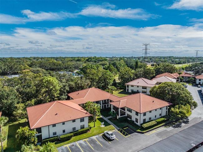1313 - 1313 Hammock Pine Blvd, Condo with 2 bedrooms, 2 bathrooms and null parking in CLEARWATER FL | Image 31