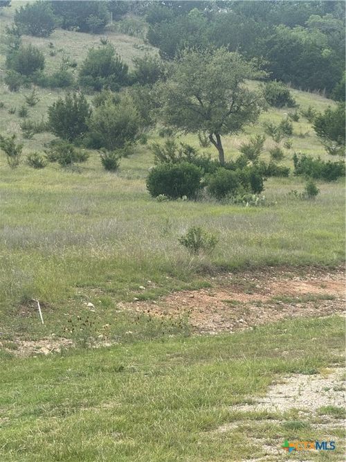 3013 Cottonwood Mesa Dr, Kempner, TX, 76539 | Card Image