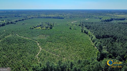 0 Marvis Chapman Rd, Ideal, GA, 31041 | Card Image