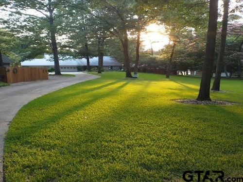 190 County Road 2452, Pittsburg, TX, 75686 | Card Image