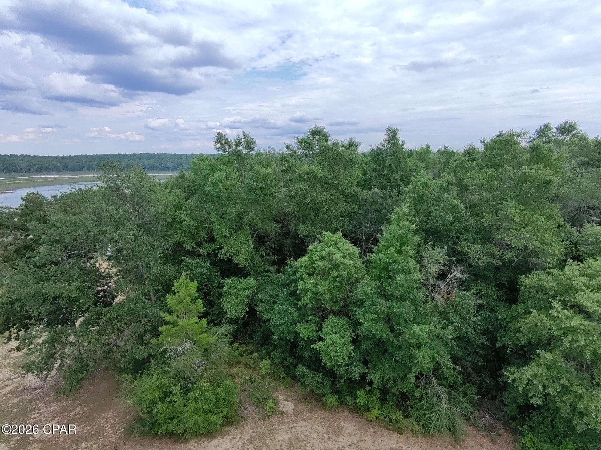 Land in Chipley 5