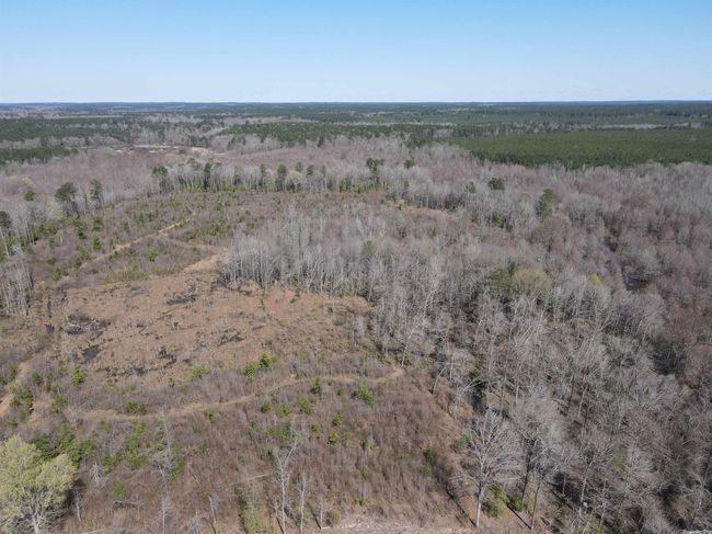 00 Highway 278 Highway, Home with 0 bedrooms, 0 bathrooms and null parking in Rosston AR | Image 21