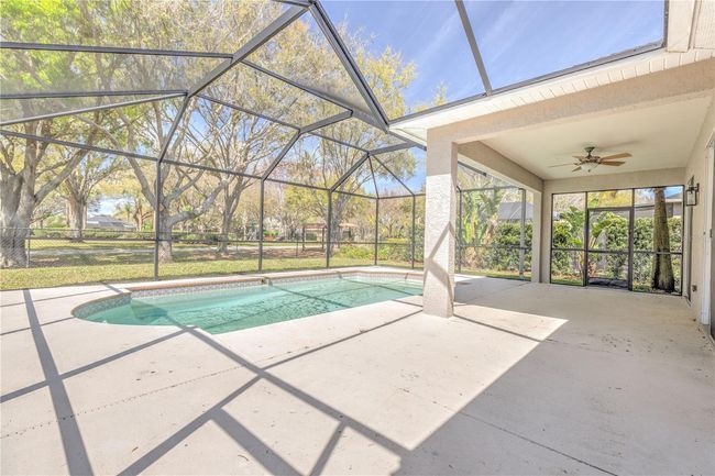 10641 Firebrick Ct, House other with 3 bedrooms, 2 bathrooms and null parking in TRINITY FL | Image 35