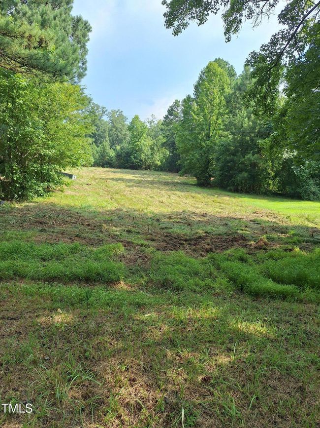 clean up to back line Jordan Lake land | Image 13