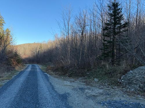 M5 L46D Black Bear Avenue, Frenchville, ME, 04745 | Card Image