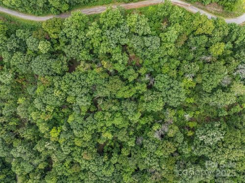 526-0 Peartree Dr, Lake Lure, NC, 28746 | Card Image