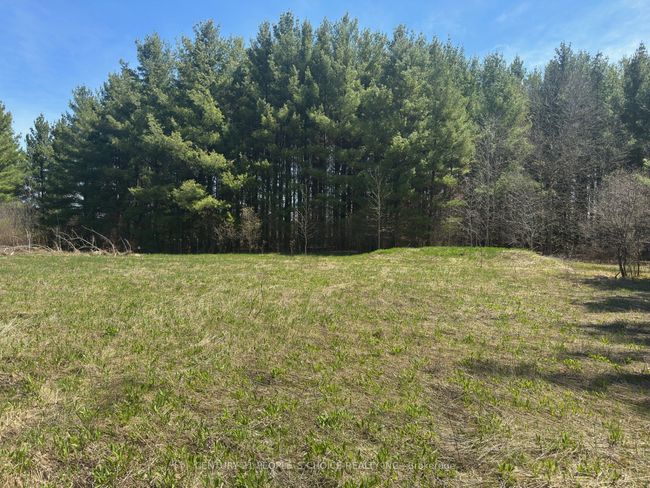 6081 Hwy 89, Clifford Road, Home with 0 bedrooms, 0 bathrooms and null parking in Minto ON | Image 7