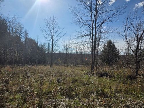 0 Dalhousie Con 8 Concession, Lanark Highlands, ON, K0G1K0 | Card Image