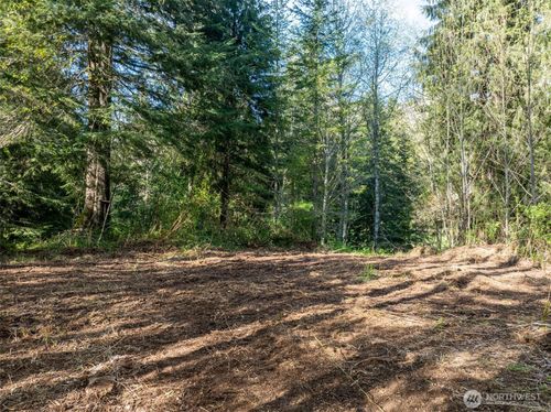0 Davis Lake Rd, Morton, WA, 98356 | Card Image