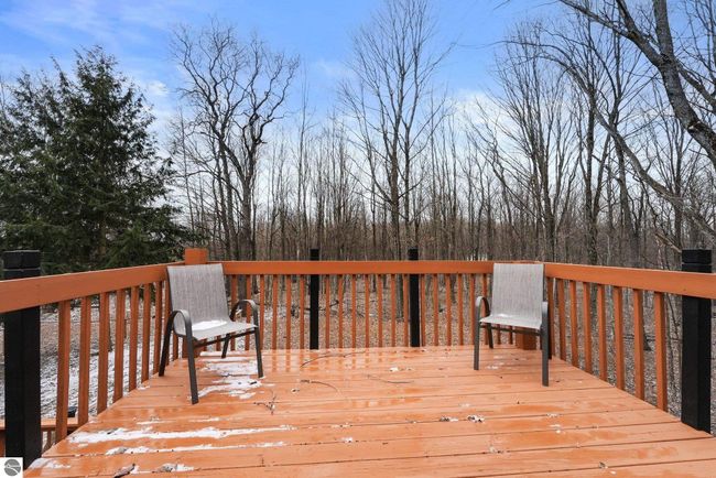 9341 W M 115, House other with 1 bedrooms, 1 bathrooms and null parking in Mesick MI | Image 21