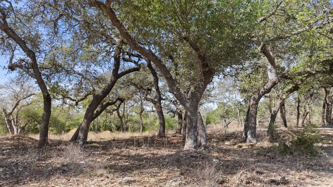View of nature | Image 4