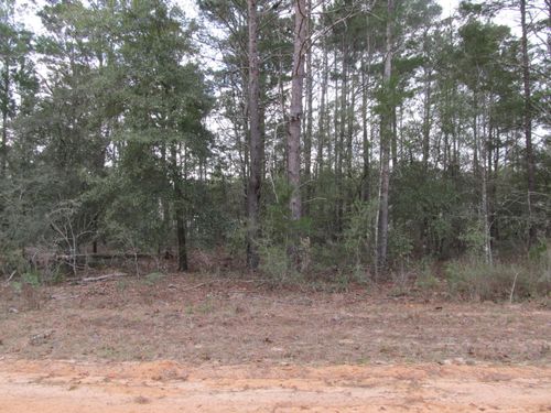 Lot 6 E Jonquil Ave, DeFuniak Springs, FL, 32433-6581 | Card Image