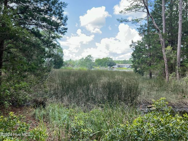 167 Sunset Ave, Home with 0 bedrooms, 0 bathrooms and null parking in Merritt NC | Image 5