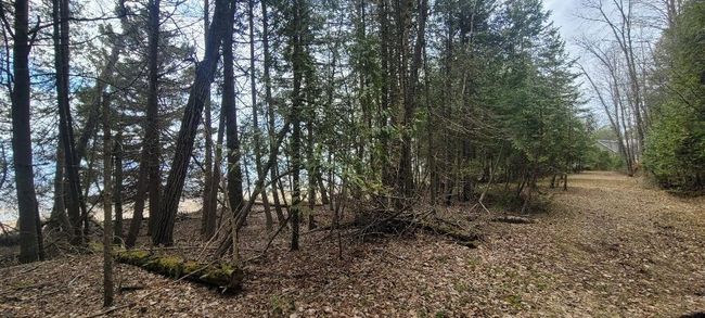 Lt0 E State Highway M35, Home with 0 bedrooms, 0 bathrooms and null parking in INGALLSTON MI | Image 19