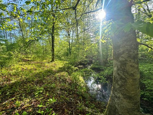 0 Rack Clayton Rd, Hohenwald, TN, 38462 | Card Image