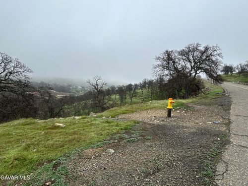 9784 Torito Way, La Grange, CA, 95329-8600 | Card Image