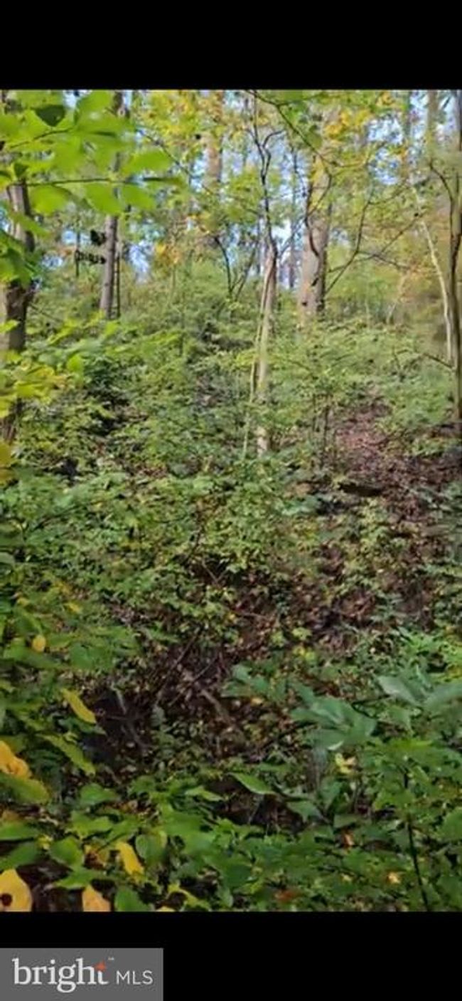 108 River Rd, Home with 0 bedrooms, 0 bathrooms and null parking in PEQUEA PA | Image 4