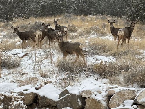 3961 E Yakima Way, Eagle Mountain, UT, 84005-5006 | Card Image