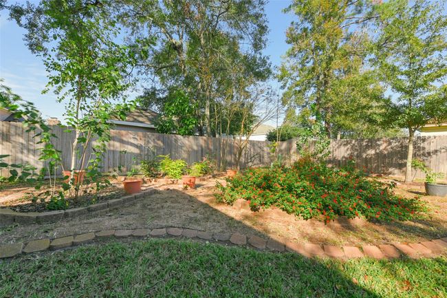 Very private yard. | Image 42