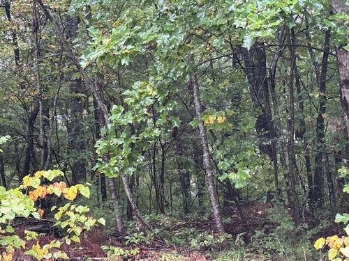 11 Fife, South Pittsburg, TN, 37380 | Card Image