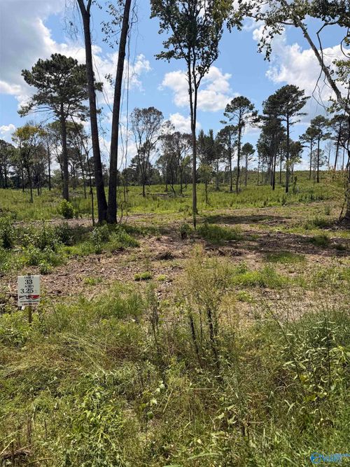 Lot 33 County Road 158, Centre, AL, 35960 | Card Image