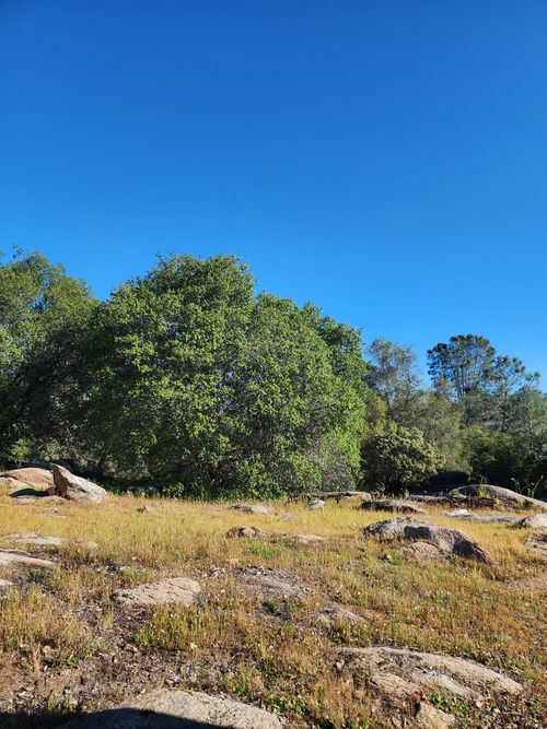 0 Rocky Ridge Rd, Coarsegold, CA, 93614 | Card Image