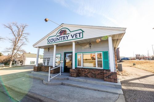 217 Lake St, Alexandria, MN, 56308-1509 | Card Image