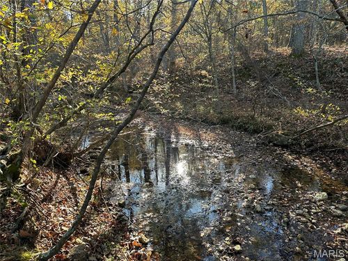 00 Off County Road 4, Belleview, MO, 63623 | Card Image