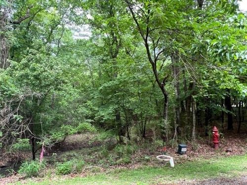 59 S Pine Harbour Dr, Coldspring, TX, 77331-3129 | Card Image