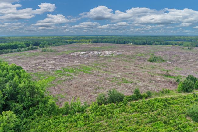 DJI_0533 | Image 22