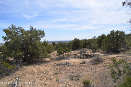 XXX Lions Trl, Farmington, NM, 87401 | Card Image