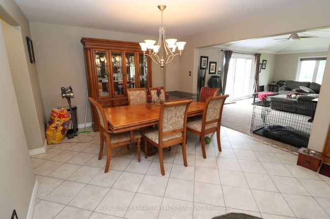 207 Slanted Rd, House other with 5 bedrooms, 4 bathrooms and 20 parking in Reaboro ON | Image 34
