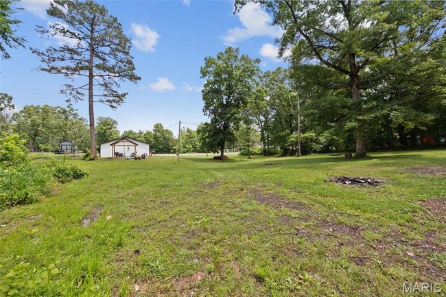 View of green lawn | Image 25